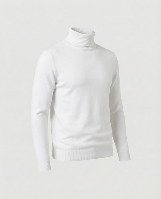 Herren Rollkragenpullover aus weichem Merinowolle EB