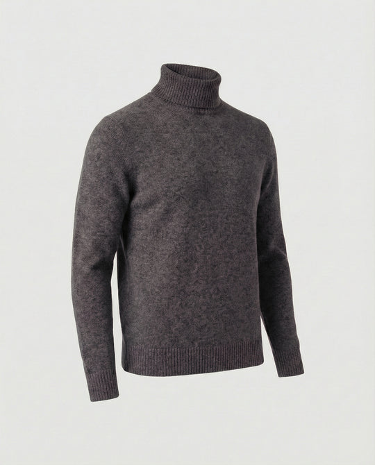 Herren Rollkragenpullover aus weichem Merinowolle EB