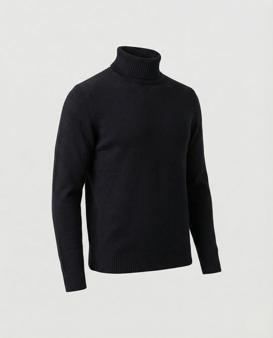 Herren Rollkragenpullover aus weichem Merinowolle EB