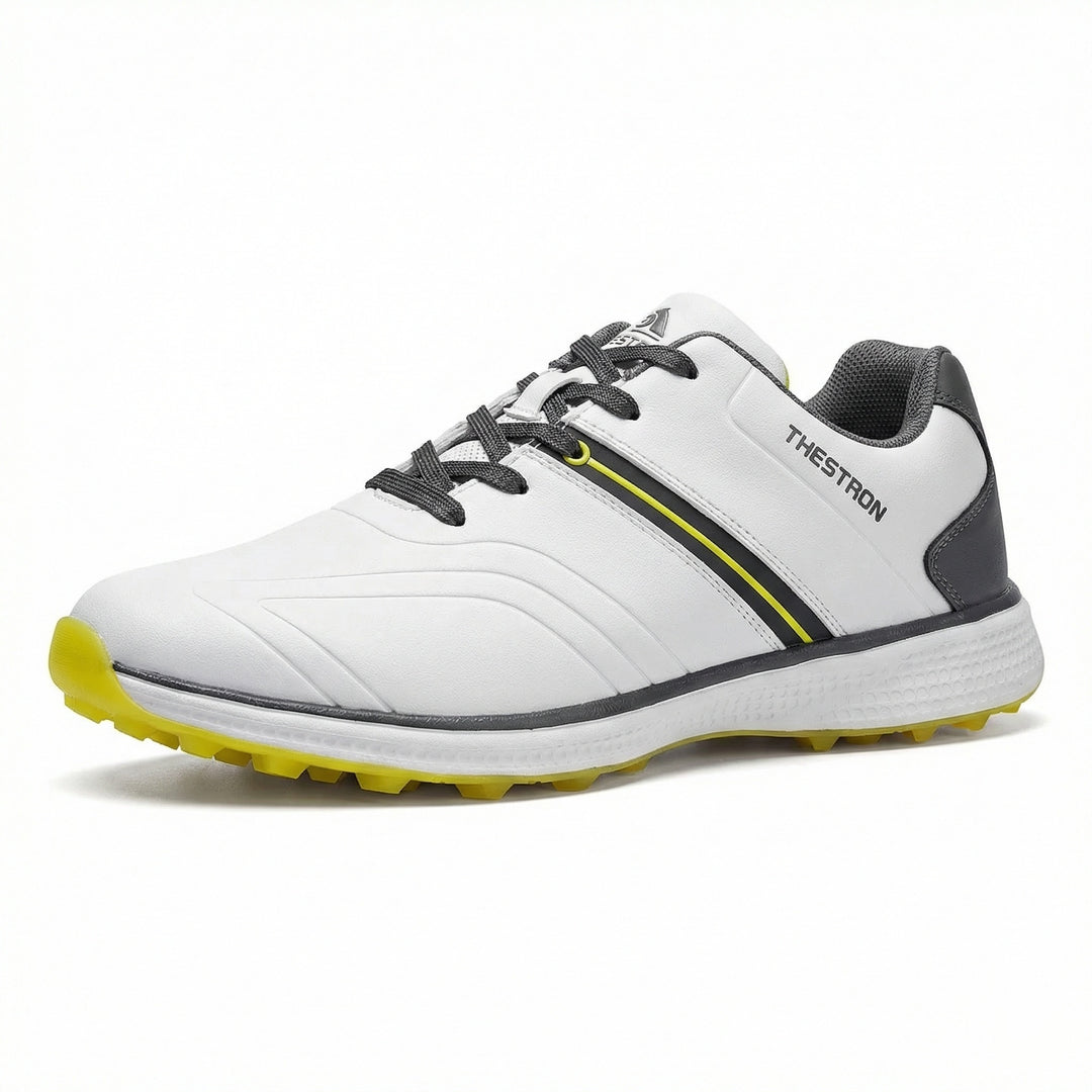 Professionelle Golfschuhe EB