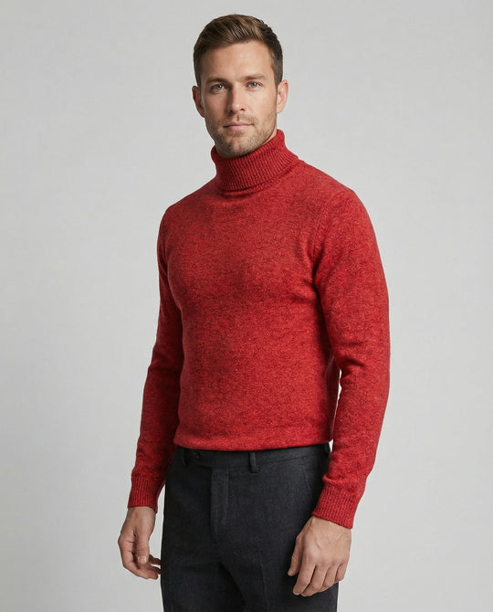 Herren Rollkragenpullover aus weichem Merinowolle EB