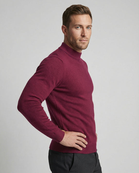Herren eleganter Pullover mit Stehkragen EB