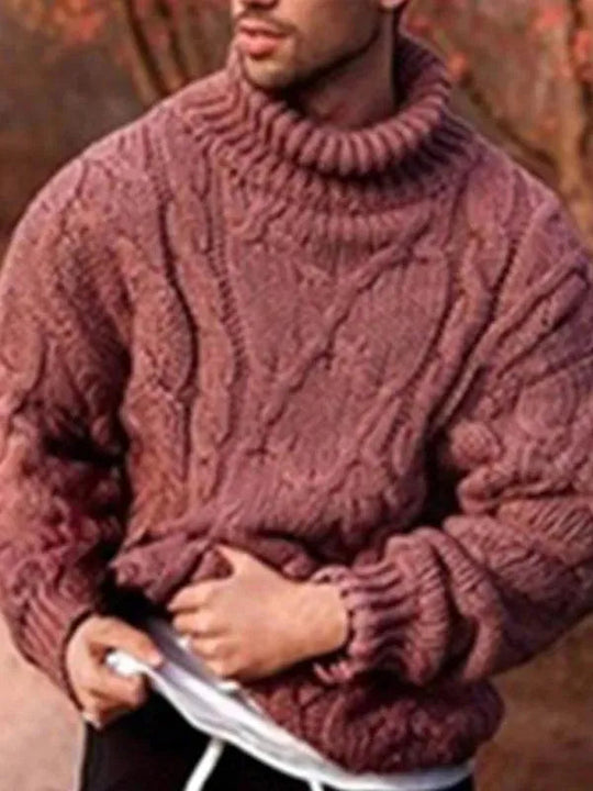 EB | Twist Dicke Herren Rollkragenpullover